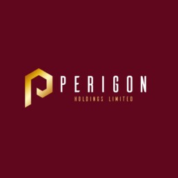 Perigon Holdings logo