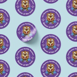 Beavers badges
