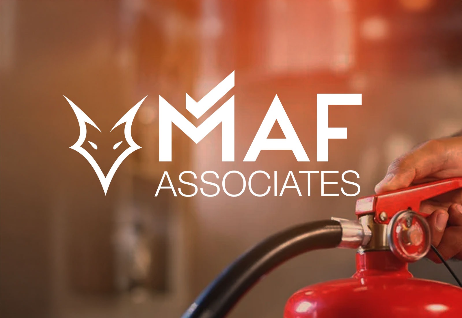 MAF project image